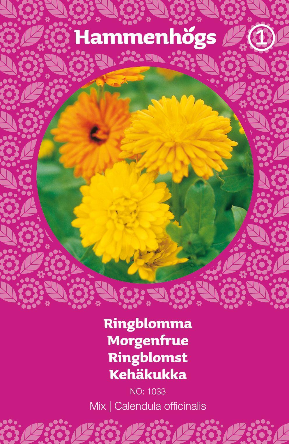 Ringblomma mix