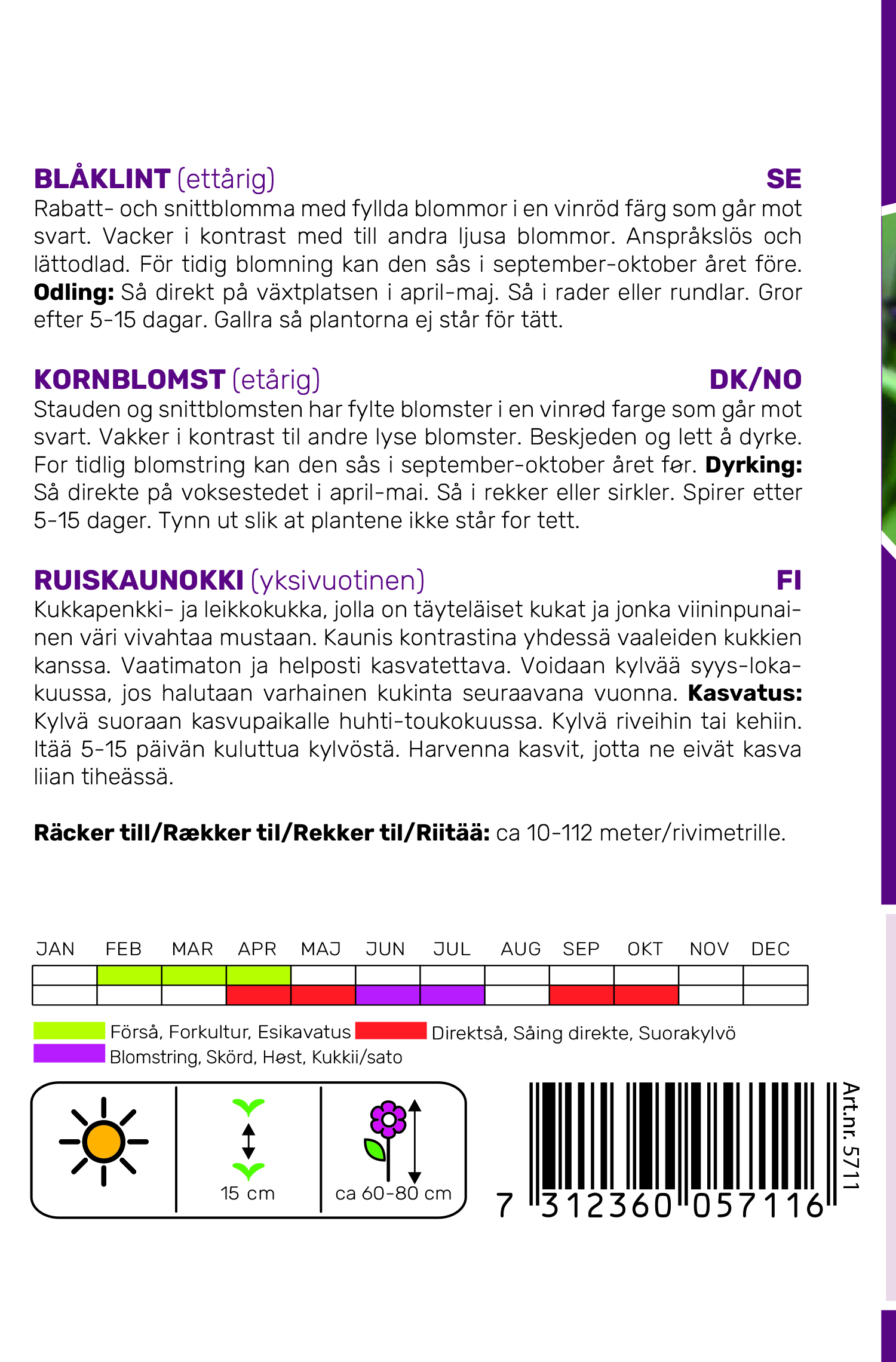Hammenhög Blåklint 'Black Ball'