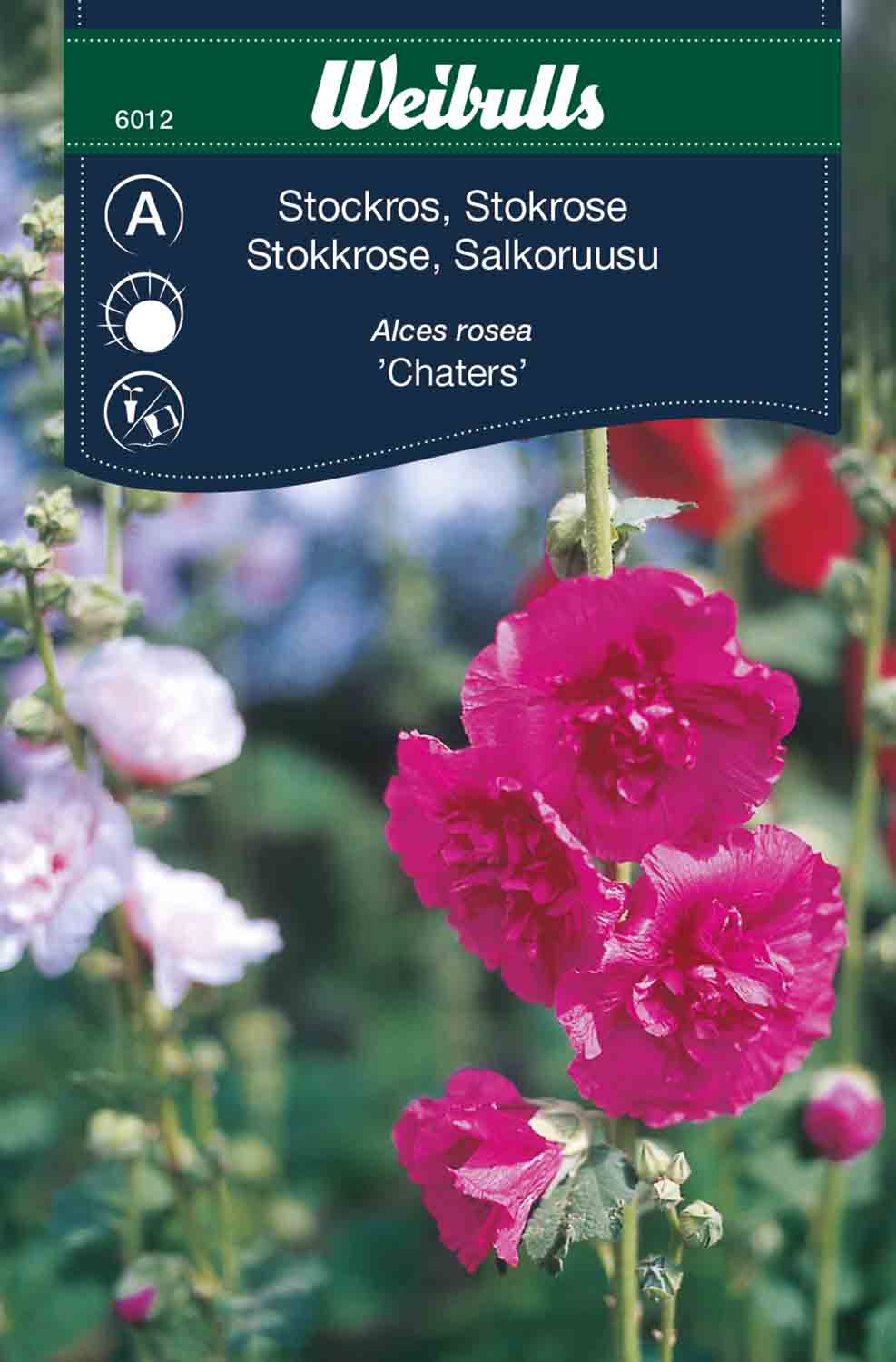 Weibulls Stockros 'Chaters'