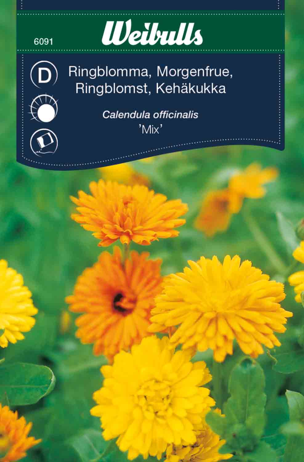 Weibulls Ringblomma 'Mix'