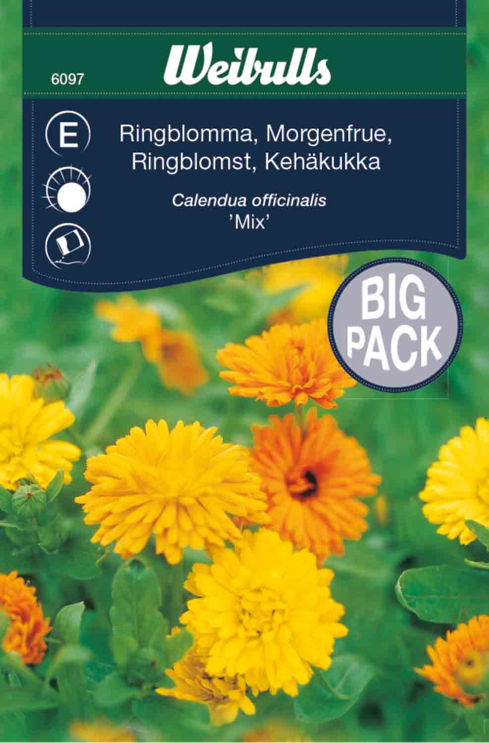 Weibulls Ringblomma, storportion 'Mix'