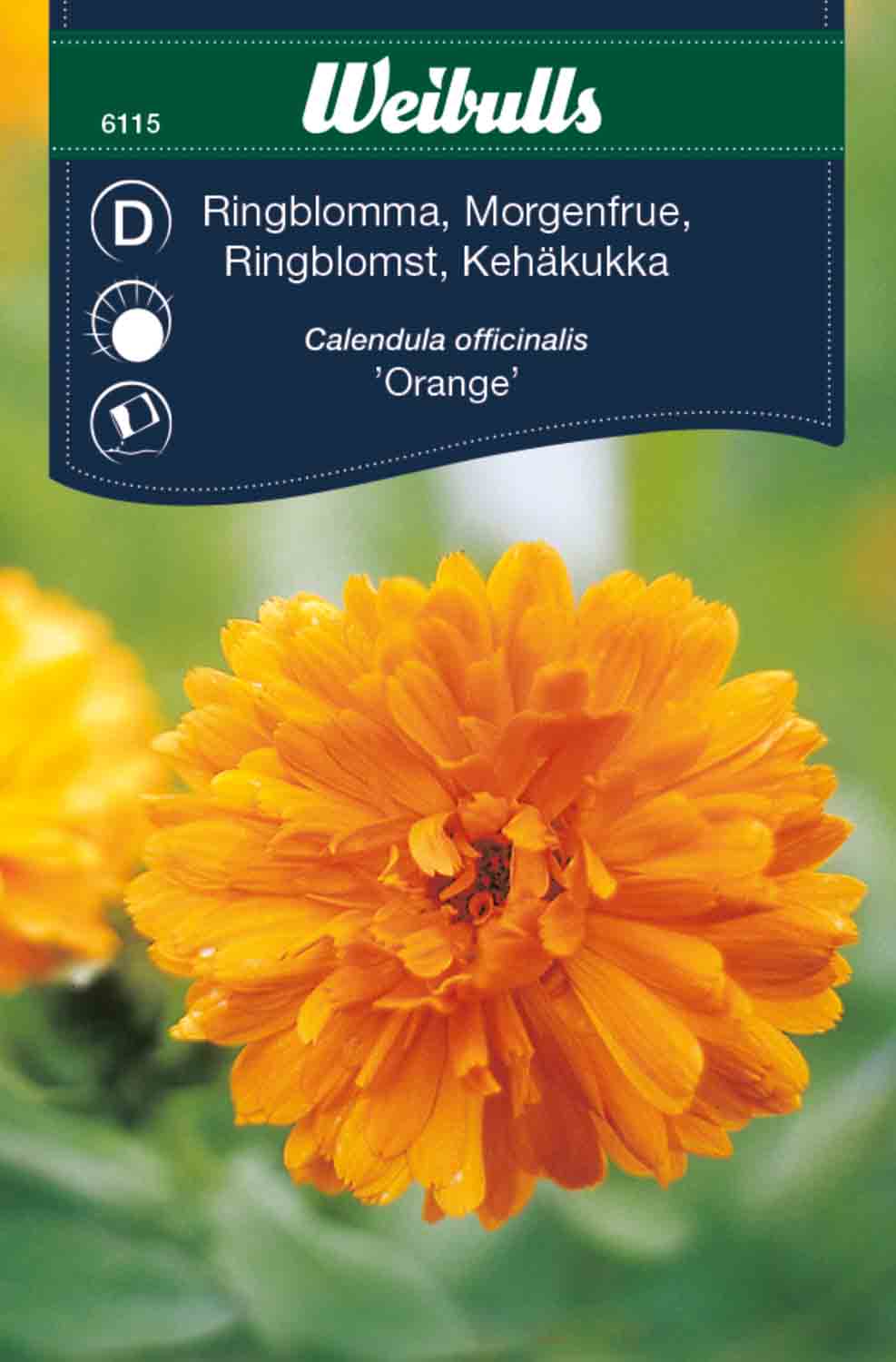 Weibulls Ringblomma 'Mix'