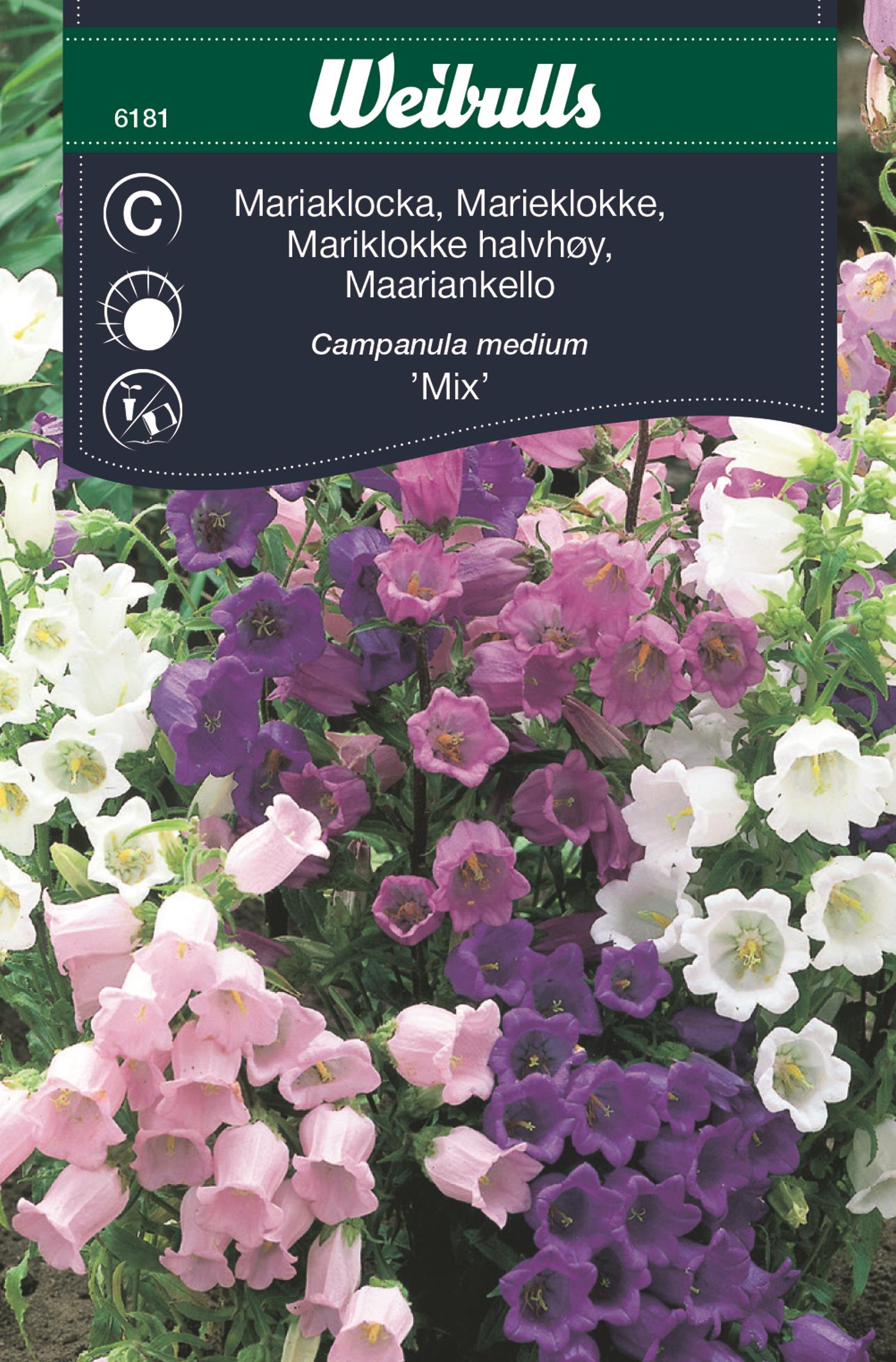 Weibulls Mariaklocka mix