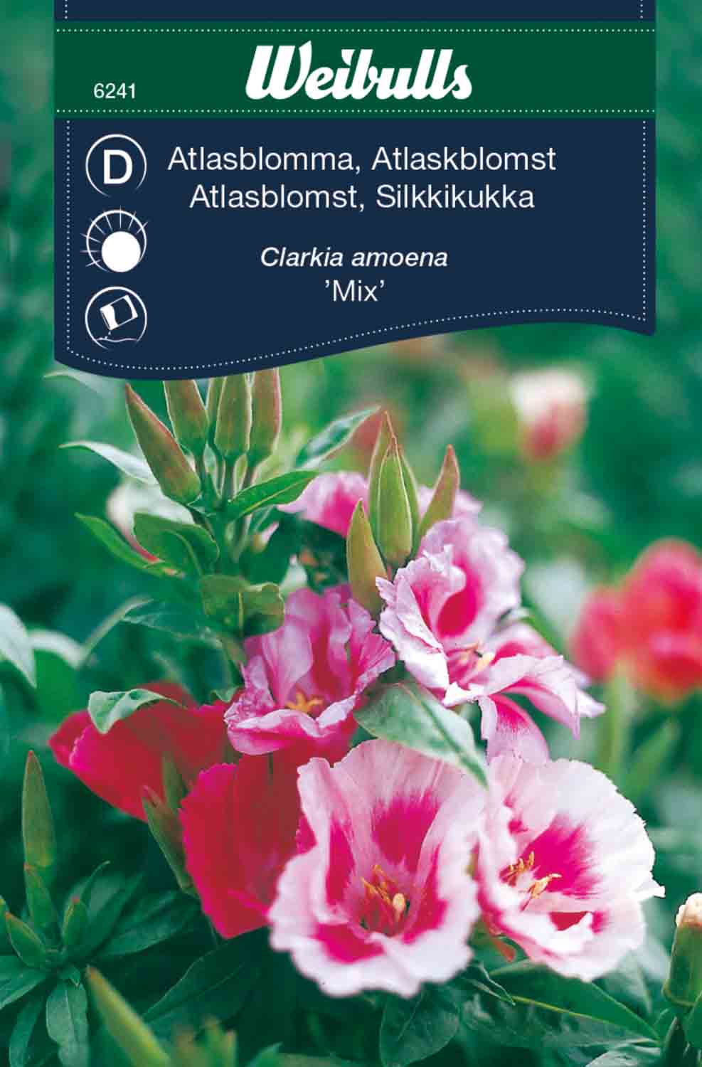 Weibulls Atlasblomma mix 'Mix'