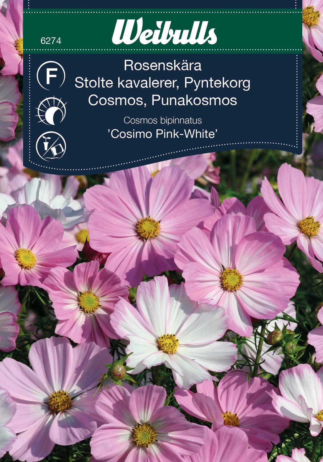 Weibulls Rosenskära 'Cosimo Pink-White'