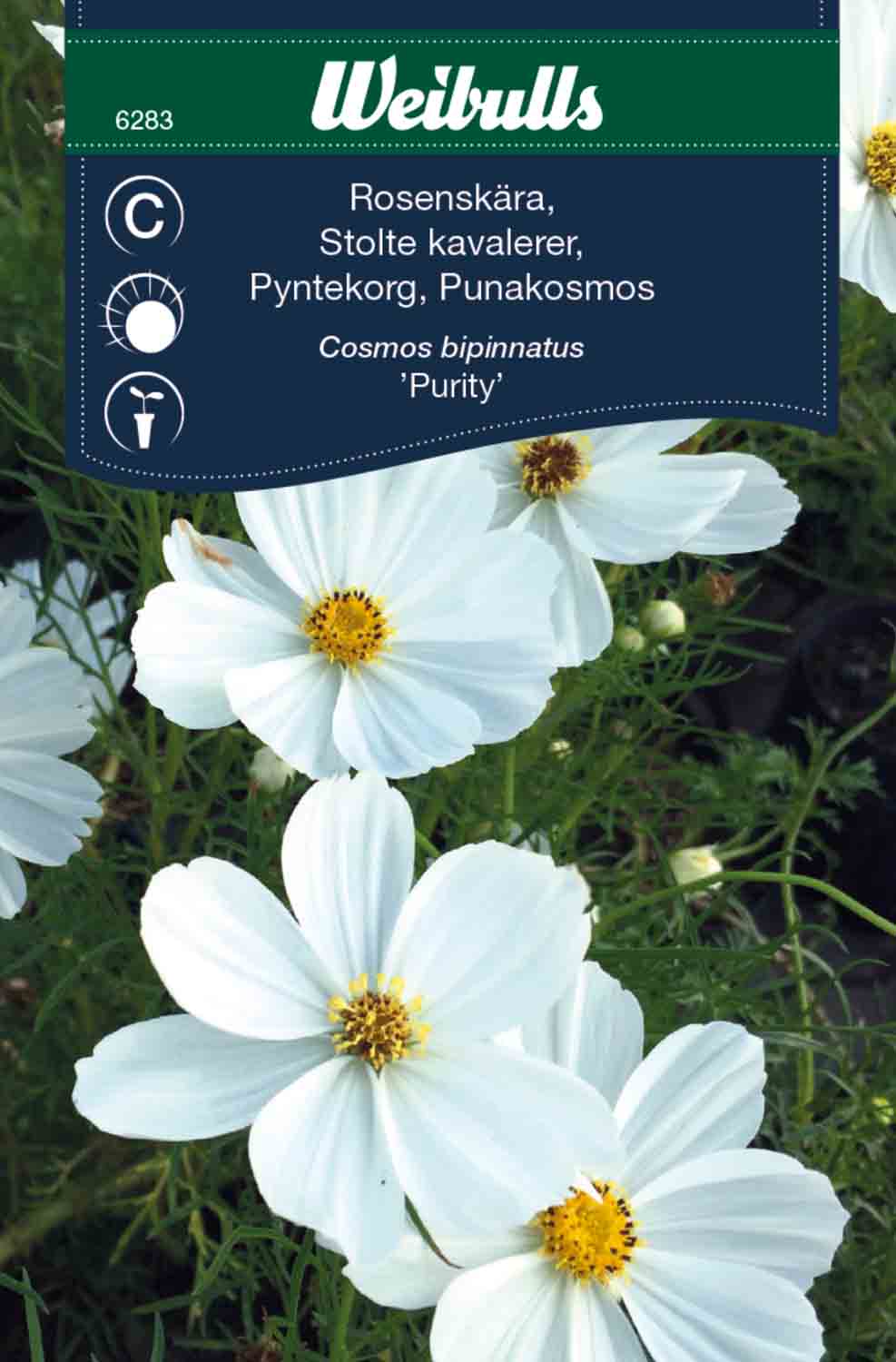 Weibulls Rosenskära 'Purity'