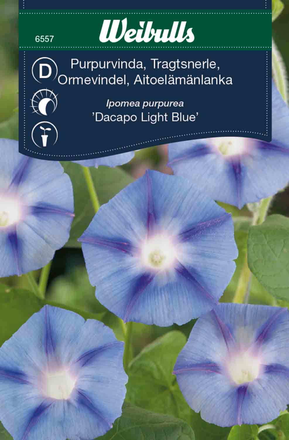 Weibulls Vinda, purpur- 'Dacapo Light Blue'