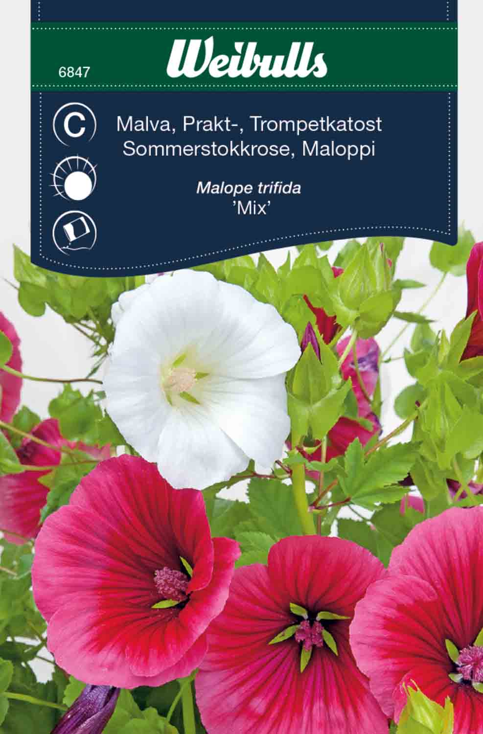 Weibulls Malva, prakt- 'Mix'