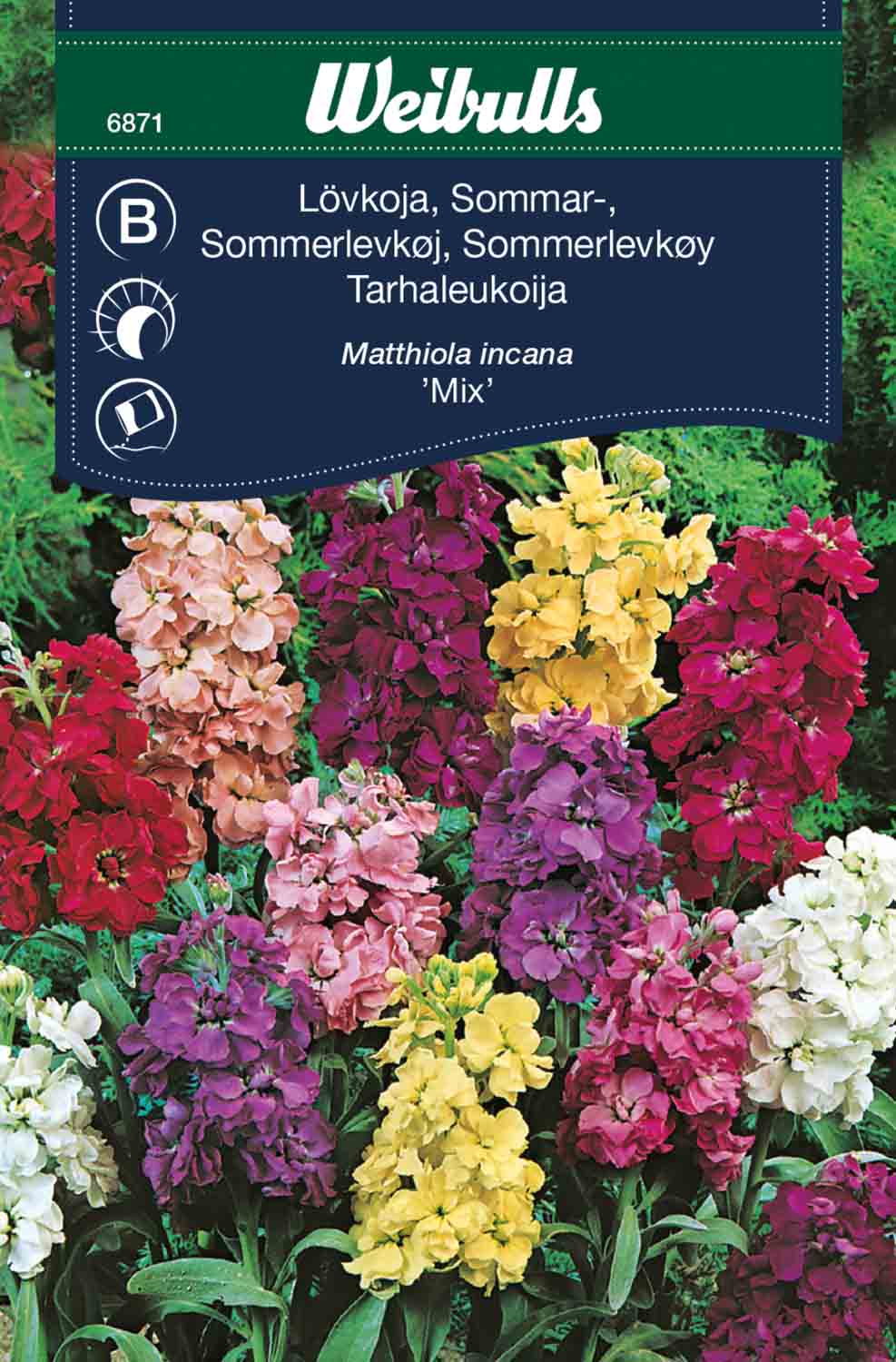 Weibulls Lövkoja, sommar- 'Mix'
