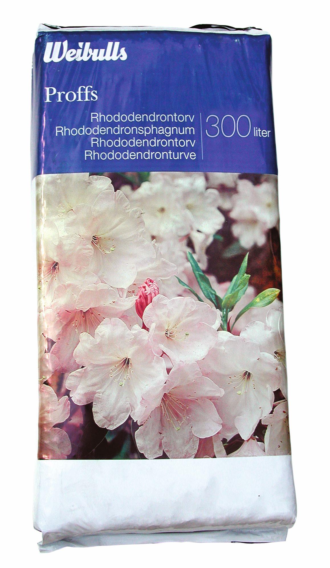 Weibulls Rhododendrontorv