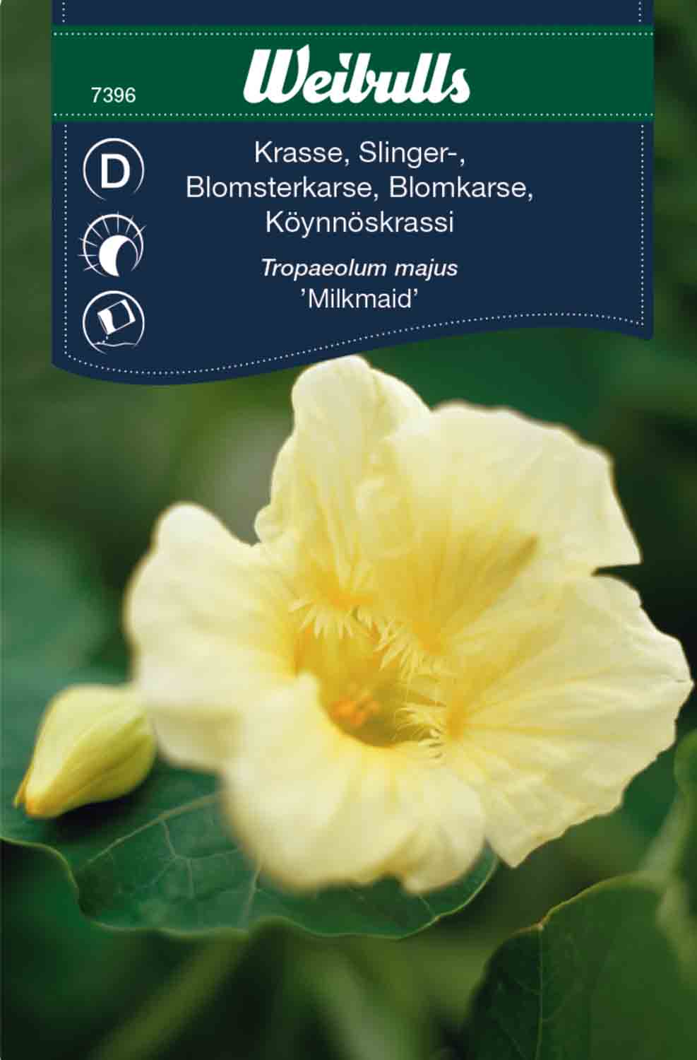 Weibulls Krasse, slinger- 'Milkmaid'