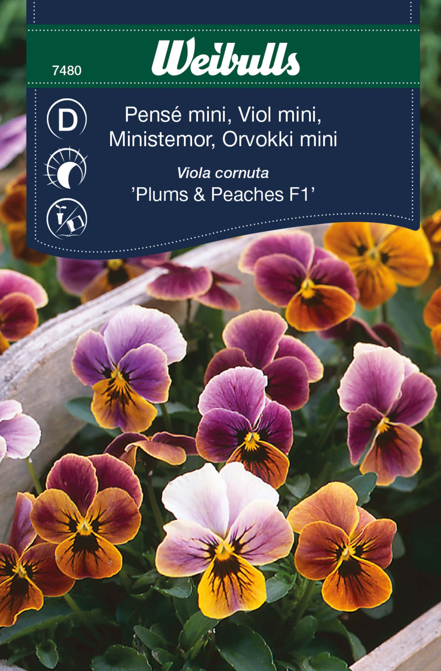 Weibulls Pensé mini 'Plums & Peaches'
