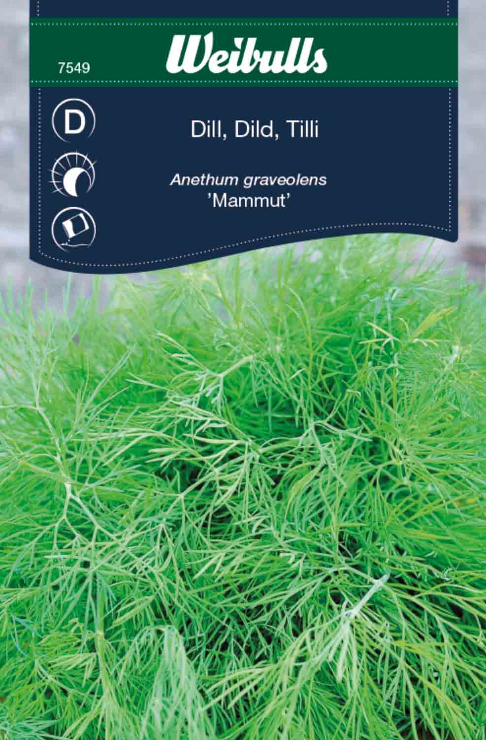 Weibulls Dill 'Mammut'