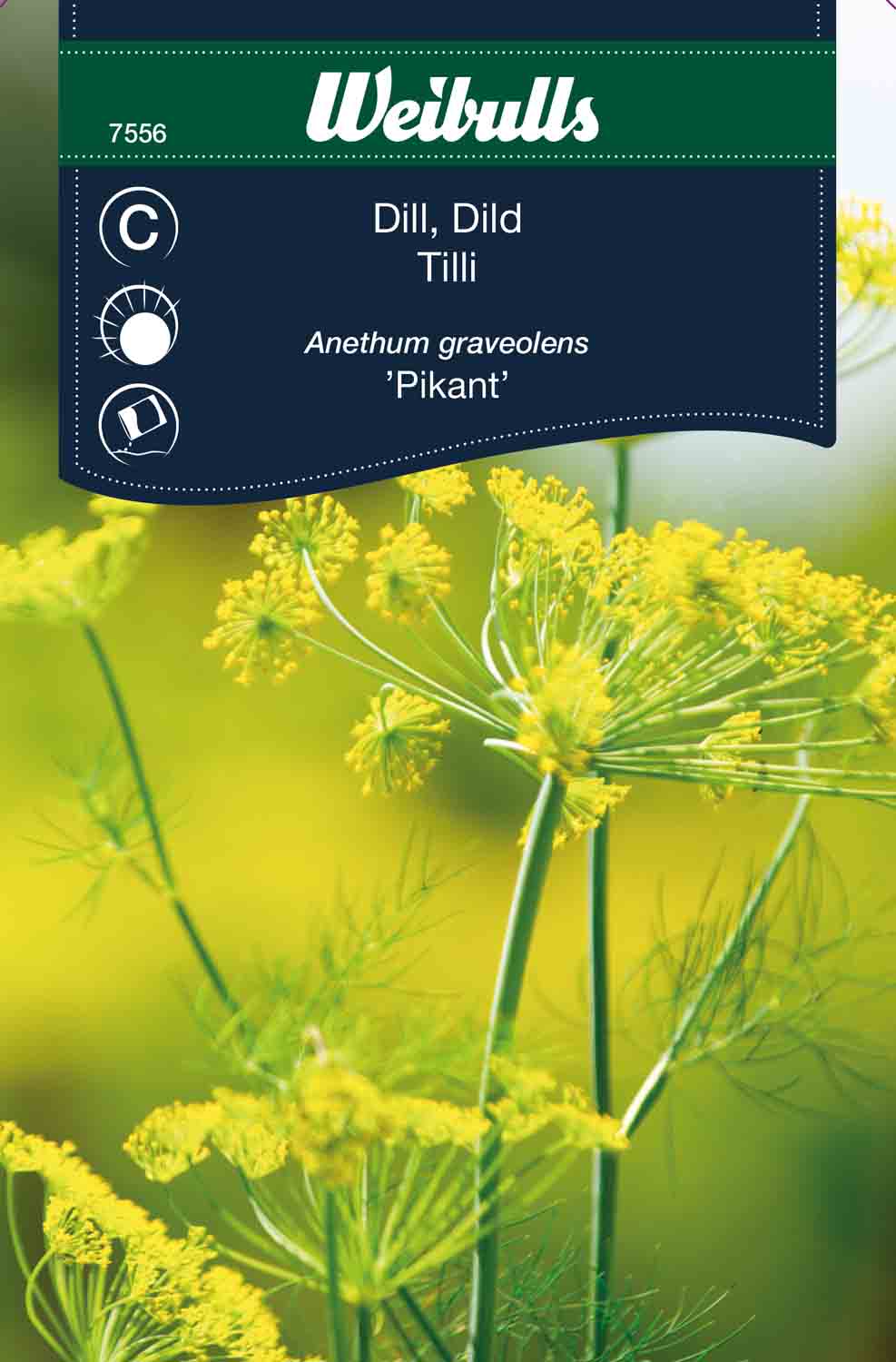 Weibulls Dill 'Pikant'