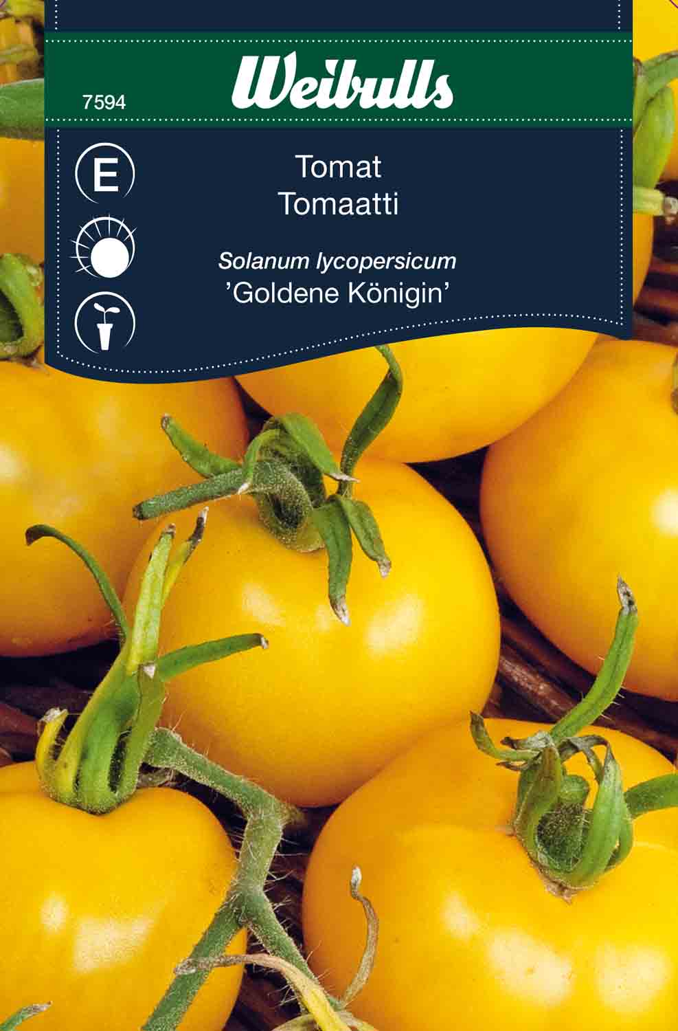 Weibulls Tomat 'Goldene Königin'