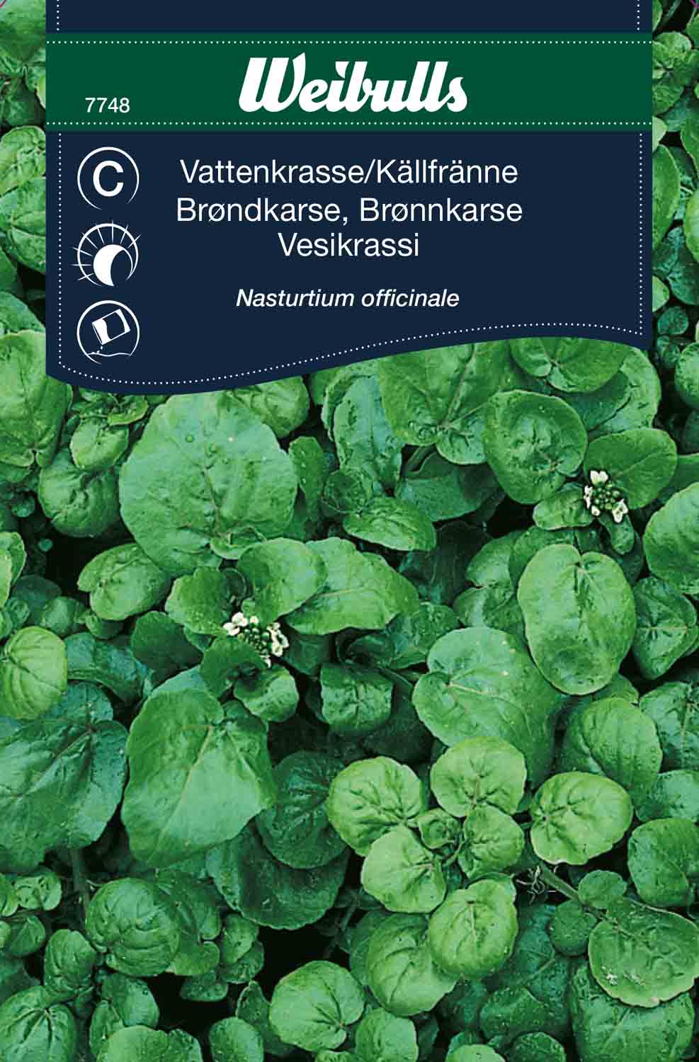 Weibulls Vattenkrasse/Källfränne