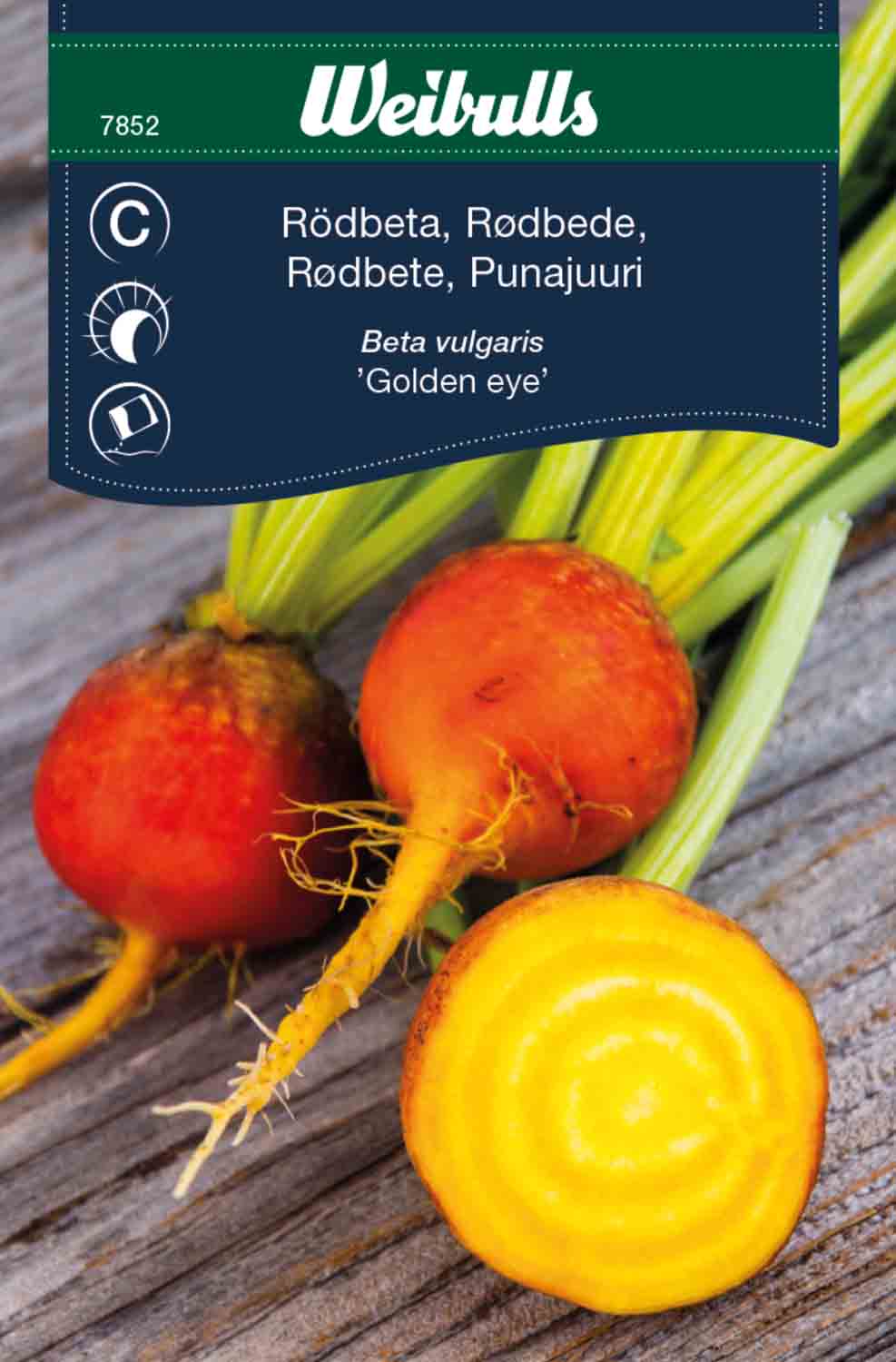 Weibulls Rödbeta, gul 'Golden eye'