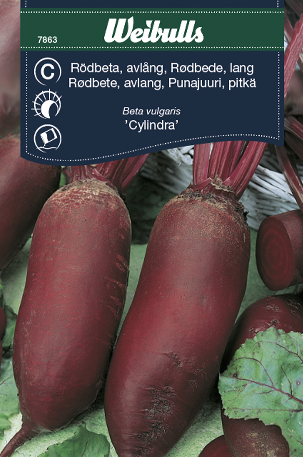 Weibulls Rödbeta, avlång 'Cylindra'