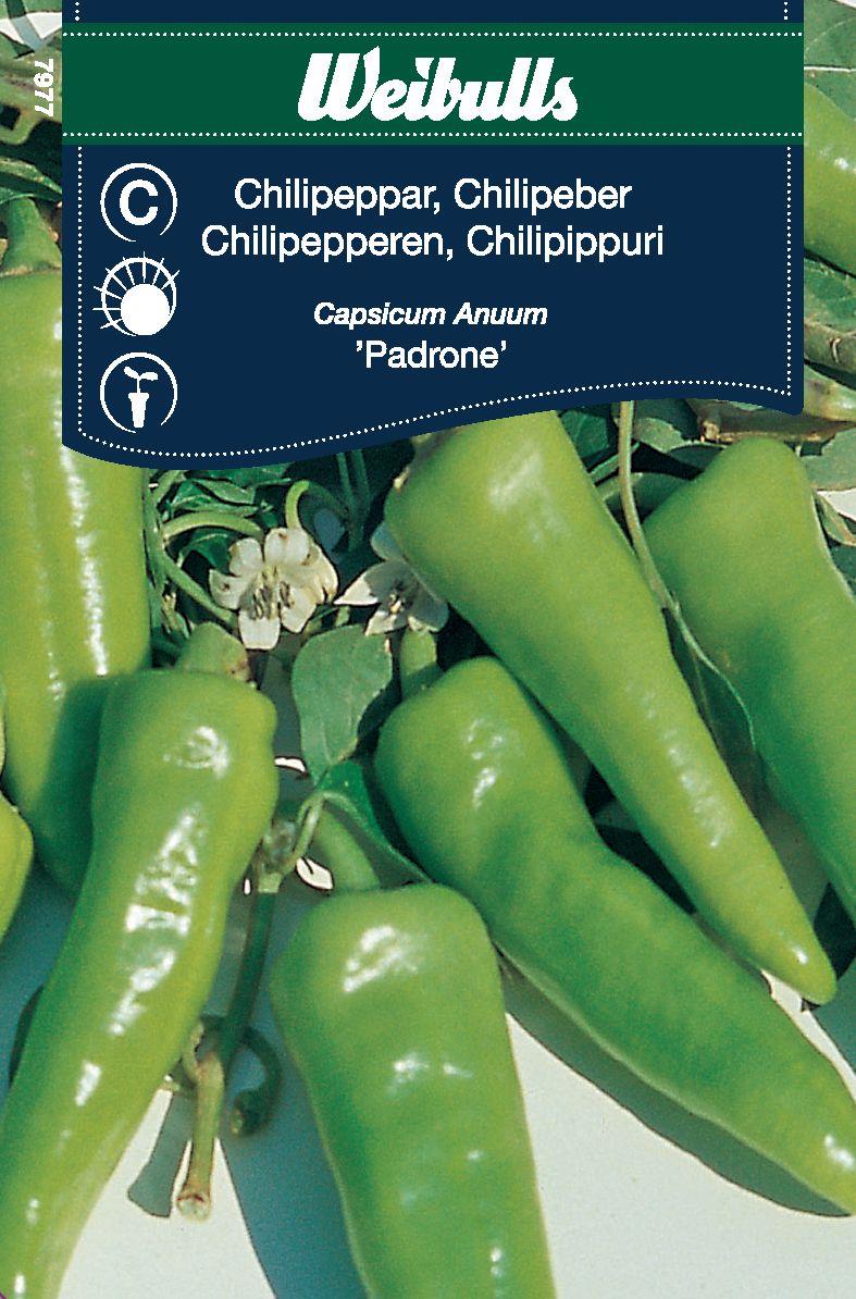 Weibulls Chilipeppar Padron