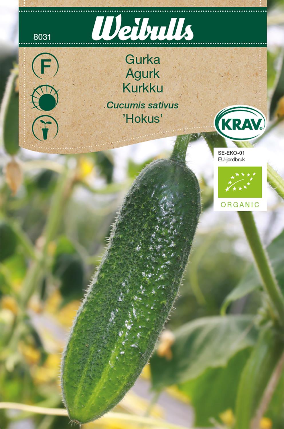 Weibulls Gurka KRAV 'Hokus'