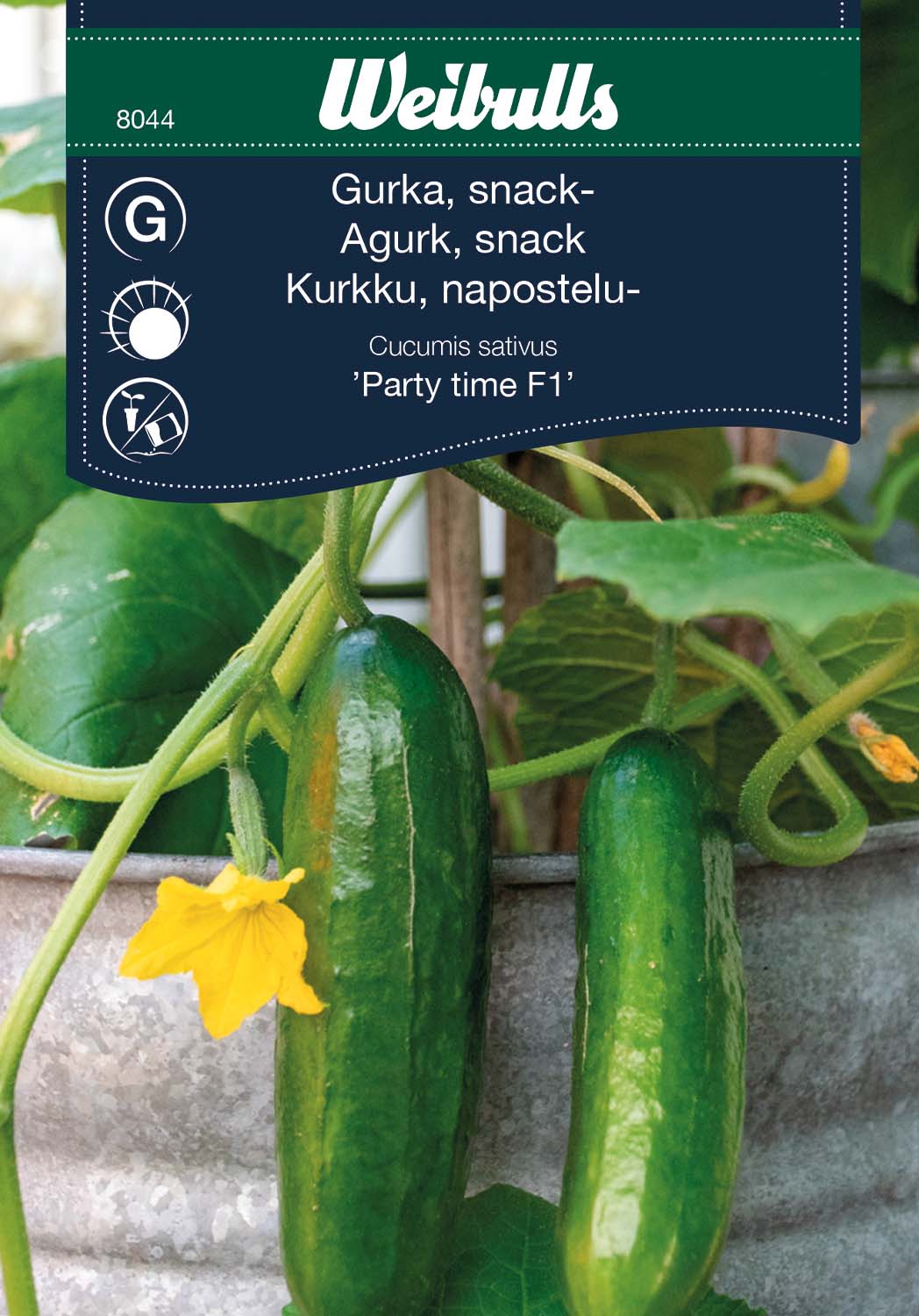 Weibulls Gurka, snack- 'Party time' F1