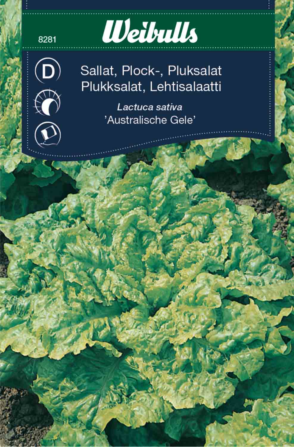 Weibulls Sallat, plock- 'Australische Gele'