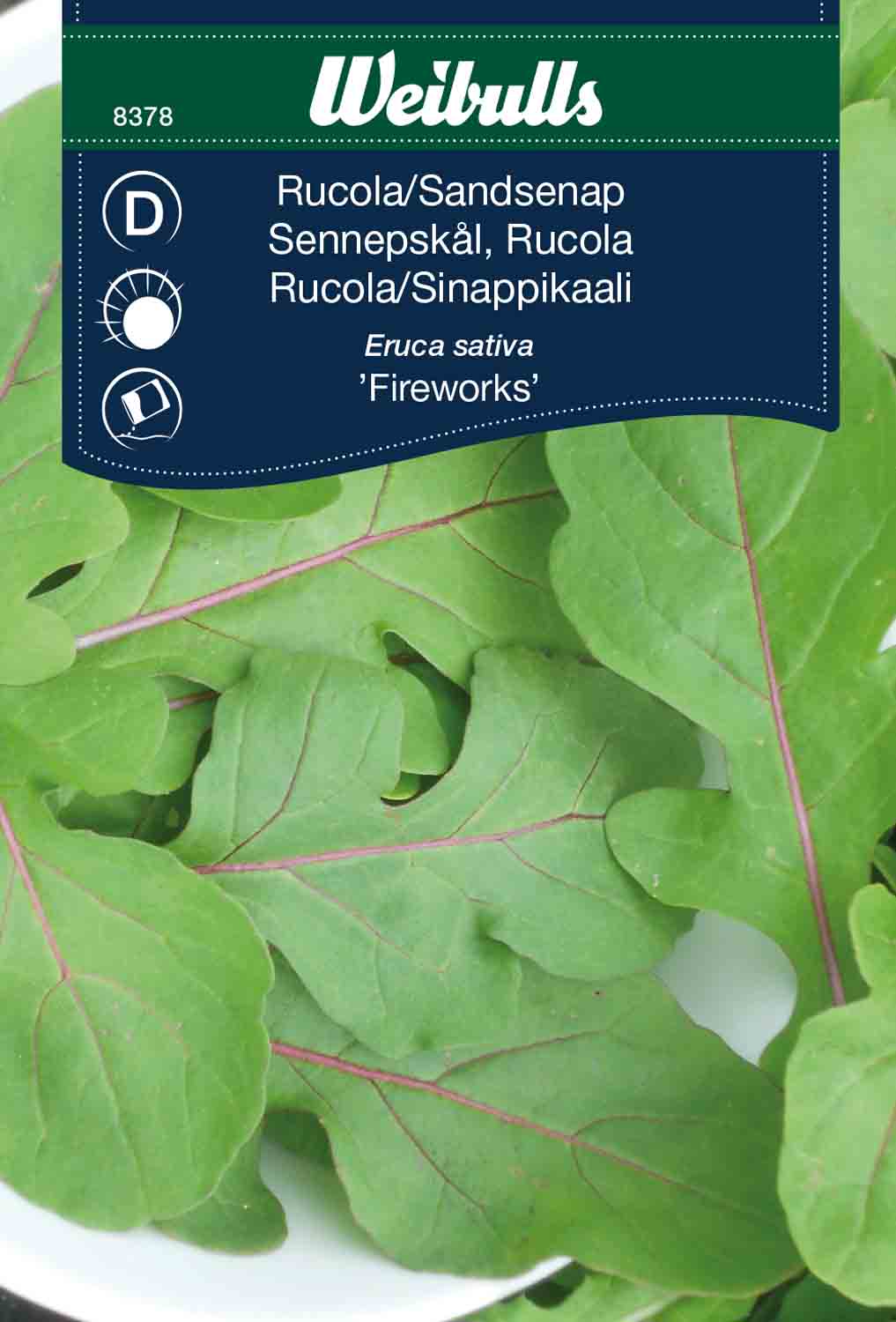 Weibulls Rucola/Sandsenap 'Fireworks'
