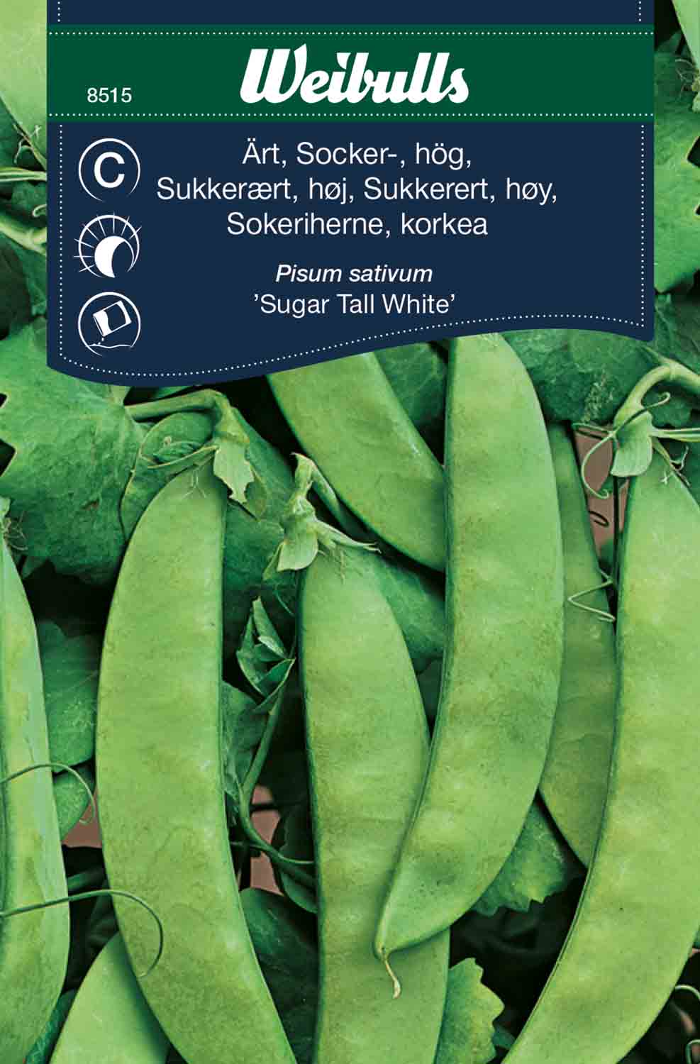 Weibulls Ärt, socker-, hög 'Sugar Tall White'