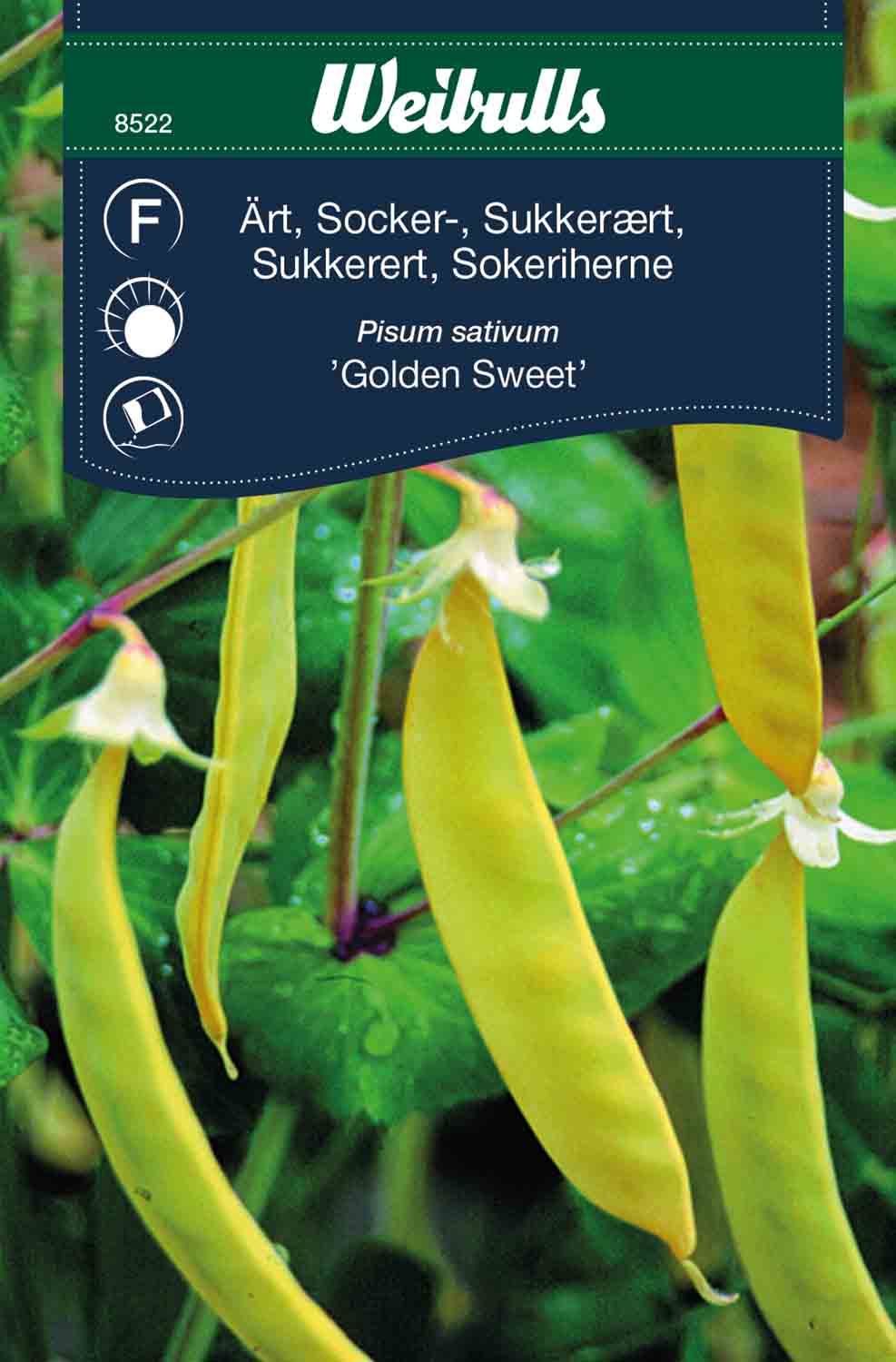 Weibulls Ärt, socker- 'Golden Sweet'