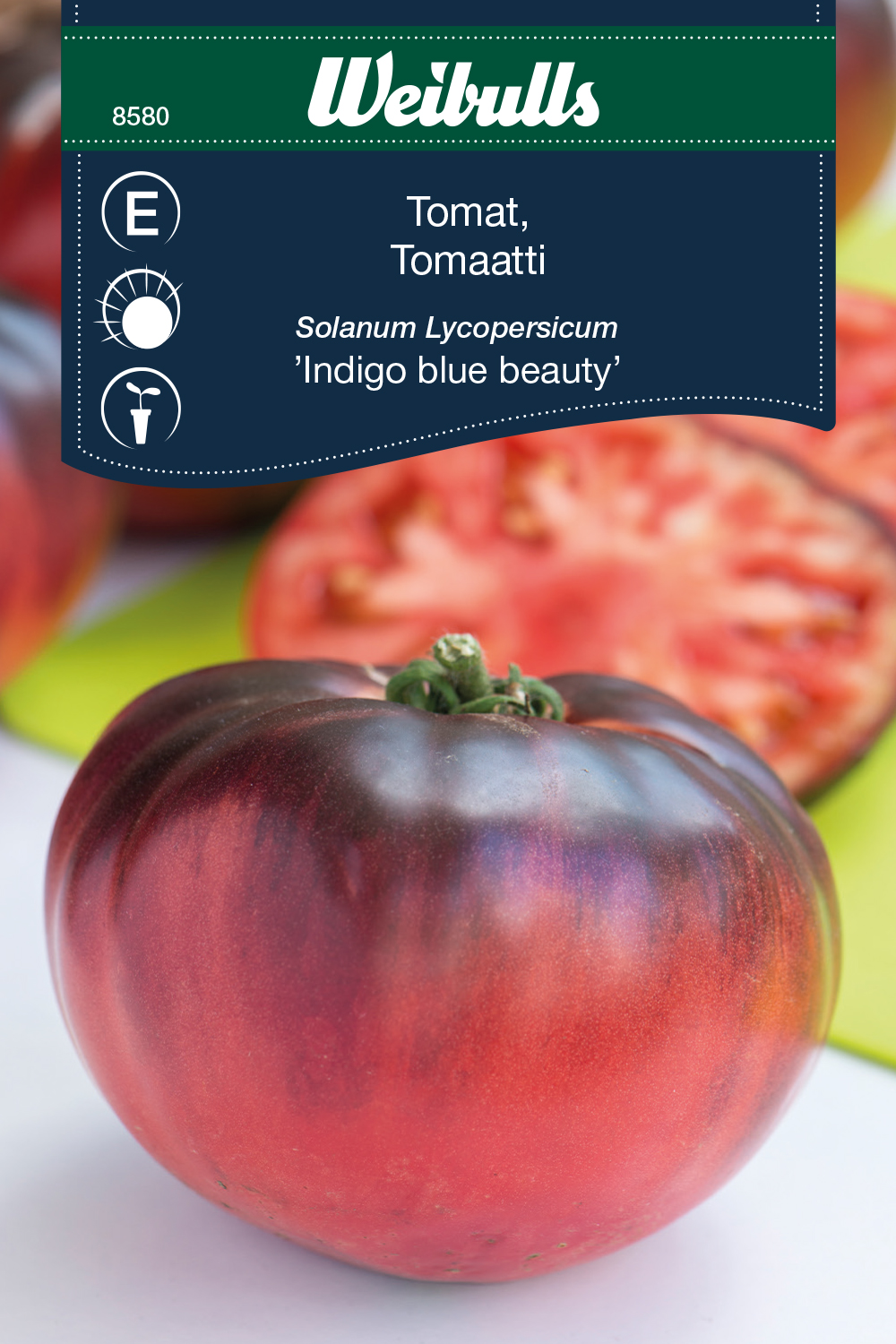 Weibulls Tomat 'Indigo Blue Beauty'