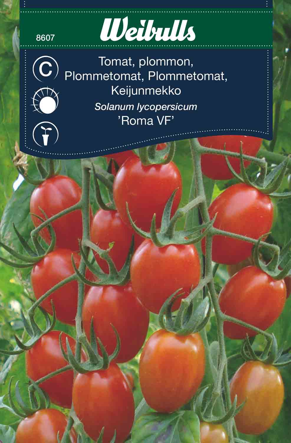 Weibulls Tomat, plommon- 'Roma VF '