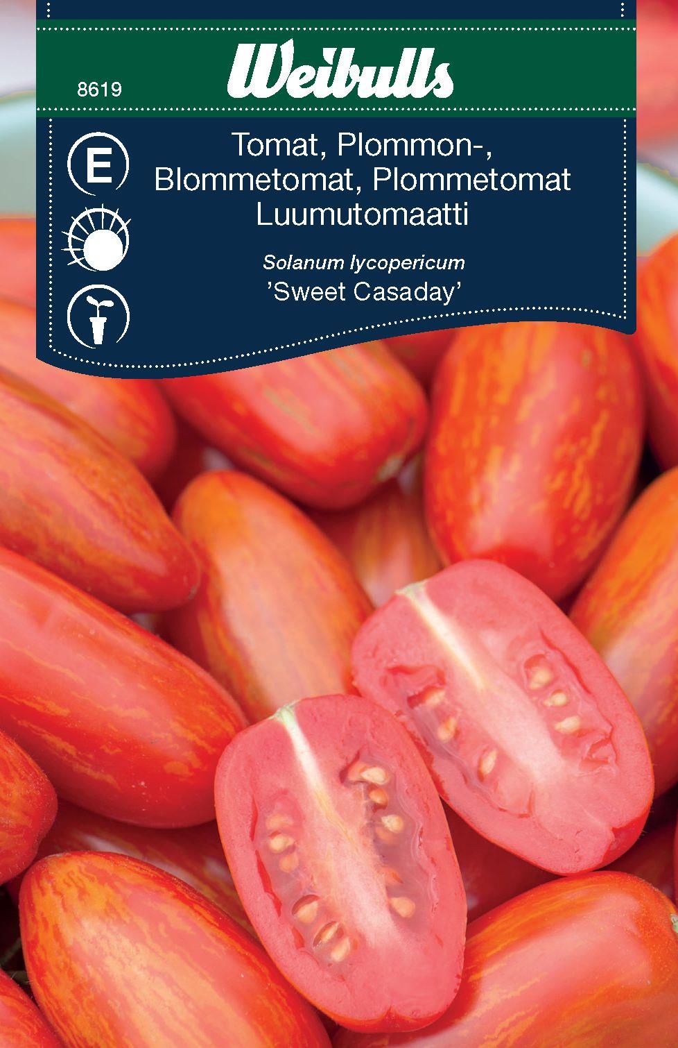 Weibulls Tomat, 'Sweet casaday'