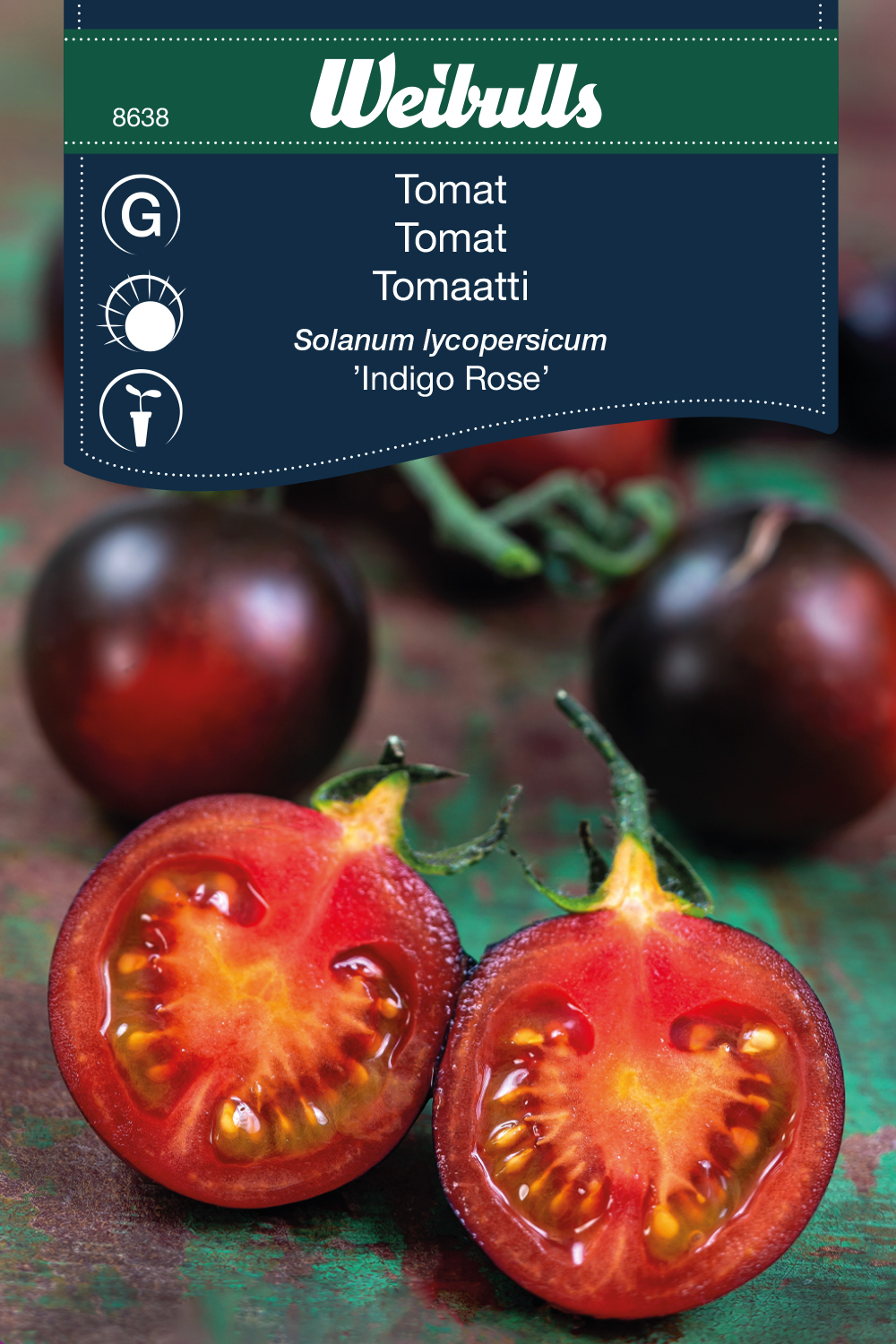 Weibulls Tomat 'Indigo Rose'