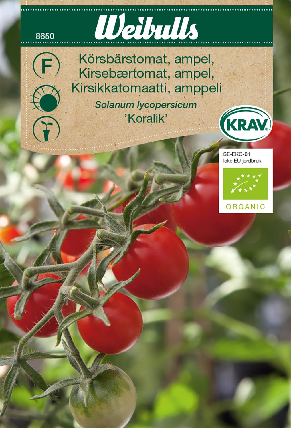 Weibulls Tomat, ampel- KRAV 'Koralik'