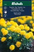 Weibulls Tagetes, låg 'Yellow Boy'