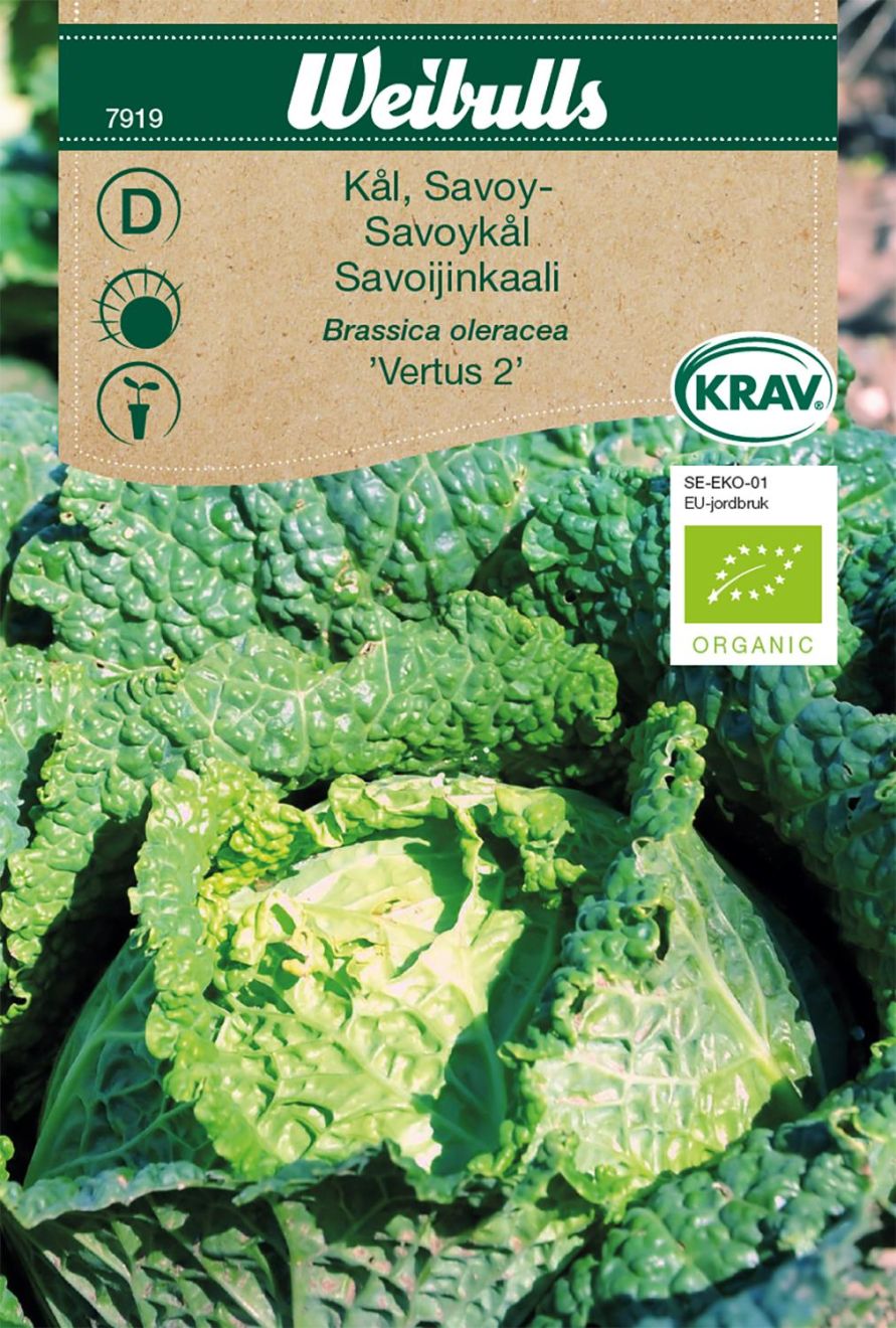 Weibulls Kål, Savoy KRAV Vertus 2