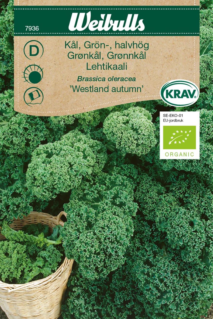 Weibulls Kål, grön- KRAV Westland autumn