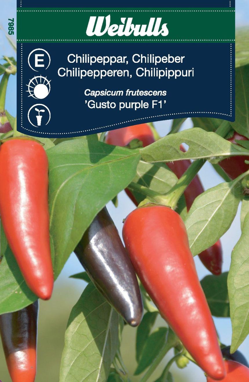Weibulls Chilipeppar Gusto purple