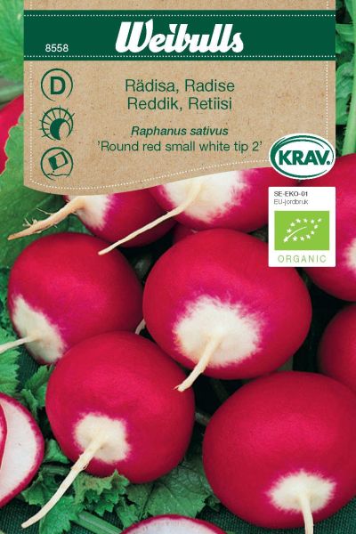 Weibulls Rädisa KRAV 'Rond rose à bout blanc 2'