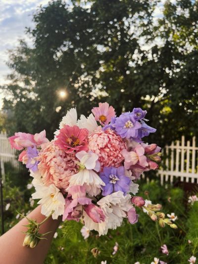 Beatas Frökit Blomsterdröm