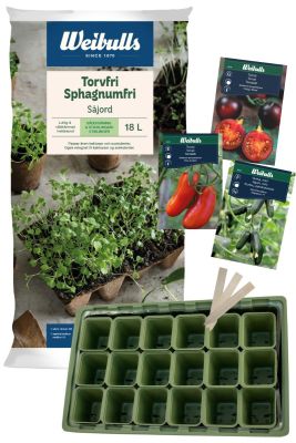 Dina nya favoriter som kit