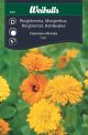 Weibulls Ringblomma 'Mix'