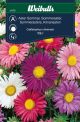 6170_aster_sommar_mix_framsida_web.jpg