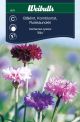 6211_blaklint_mix_framsida_web.jpg