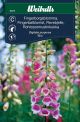 6375_fingerborgsblomma_mix_framsida_web.jpg