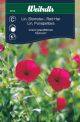 6733_lin_blomster_rubrum_framsida_web.jpg