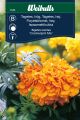 7243_tagetes_hog_crackerjack_220217_framsida.jpg