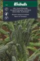Weibulls Kål, svart/palm- 'Nero di Toscana'