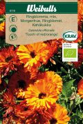 Weibulls Ringblomma KRAV 'Mix Touch off red/orange'