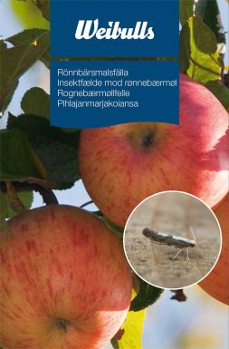 Weibulls Feromonfälla - Rönnbärsmal